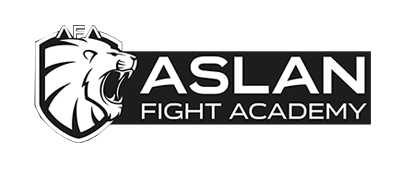 logo-aslanfight-academy kopyad